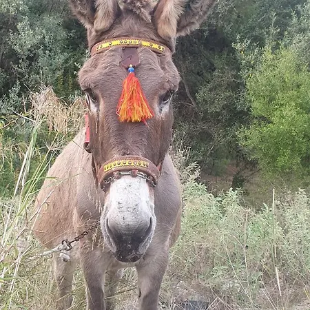Les Terrassesss De Vakantiehuis *