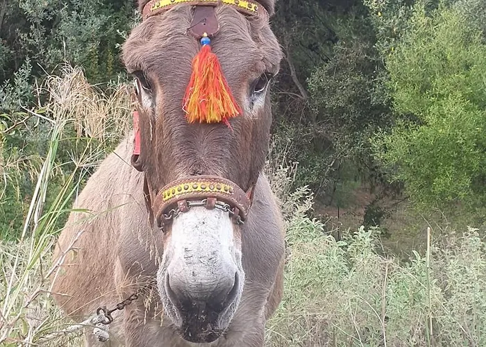 Les Terrassesss De Holiday home *