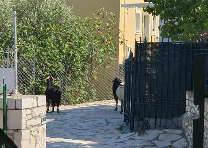 Les Terrassesss De Kastos